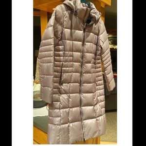 Silver/ light purple tinted Women’s Northface Parka!